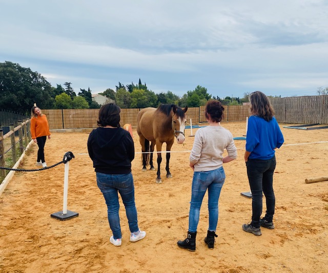 Adagio Coaching - Parcours formations Shot